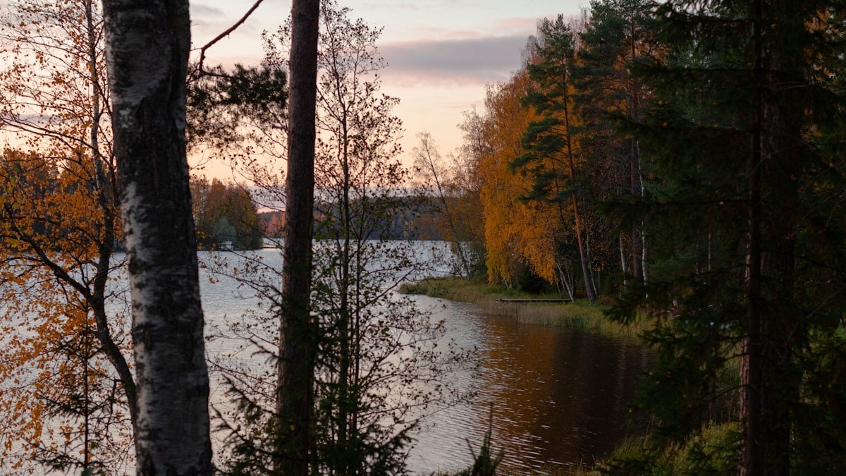 Kuidas alustada tervislikku eluviisi